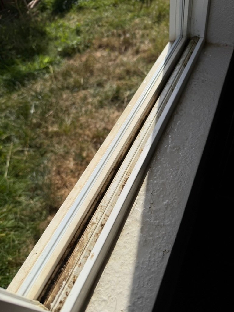 A window track packed with dirt and debris before cleaning